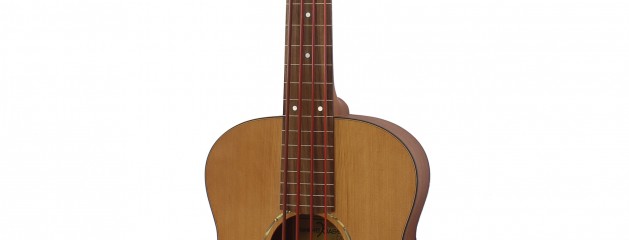 New ShortBass-One 12 Fretless