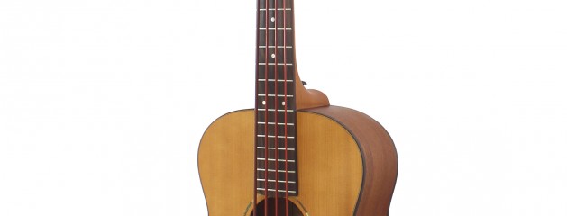New ShortBass-One 12 Fretted